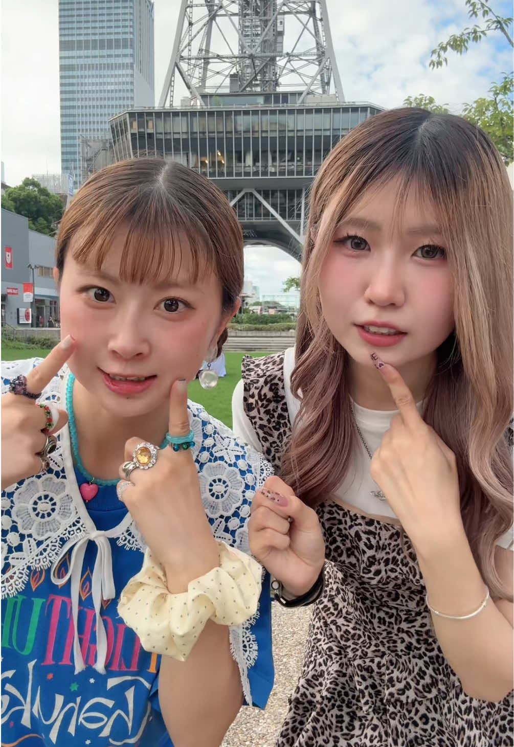 @毛玉ちゃん