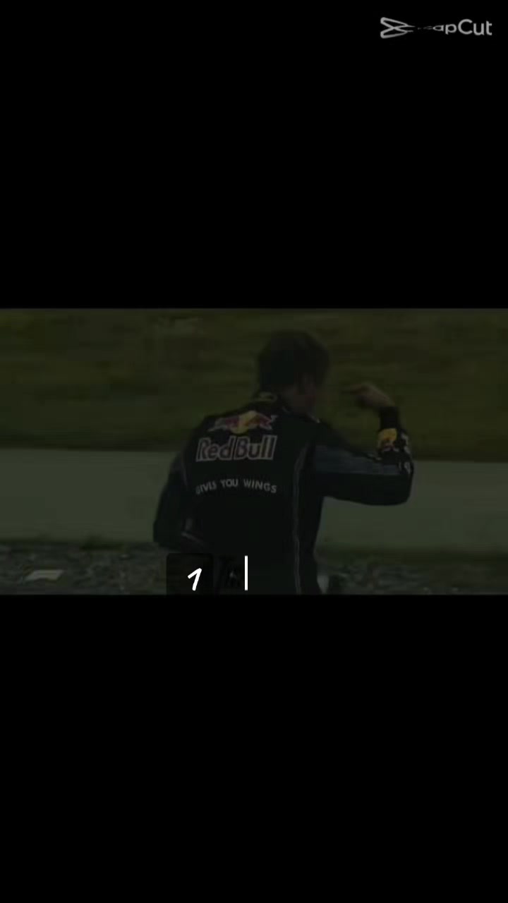 @lewis hamilton