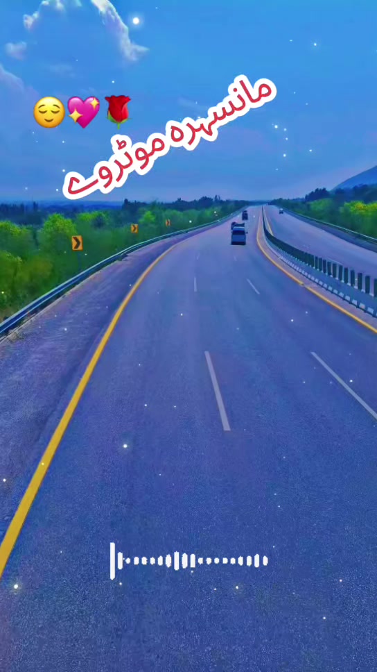 @sajid6699