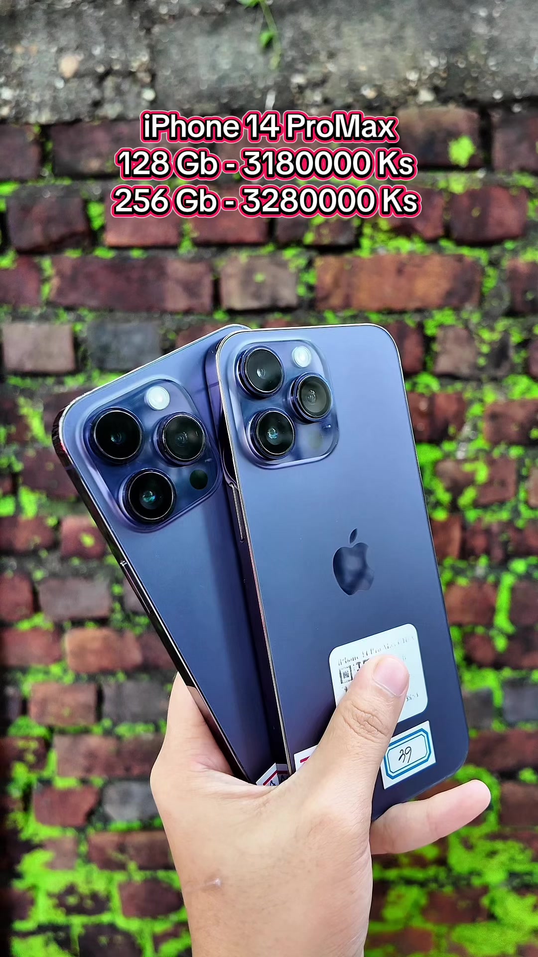 @Update Mobile