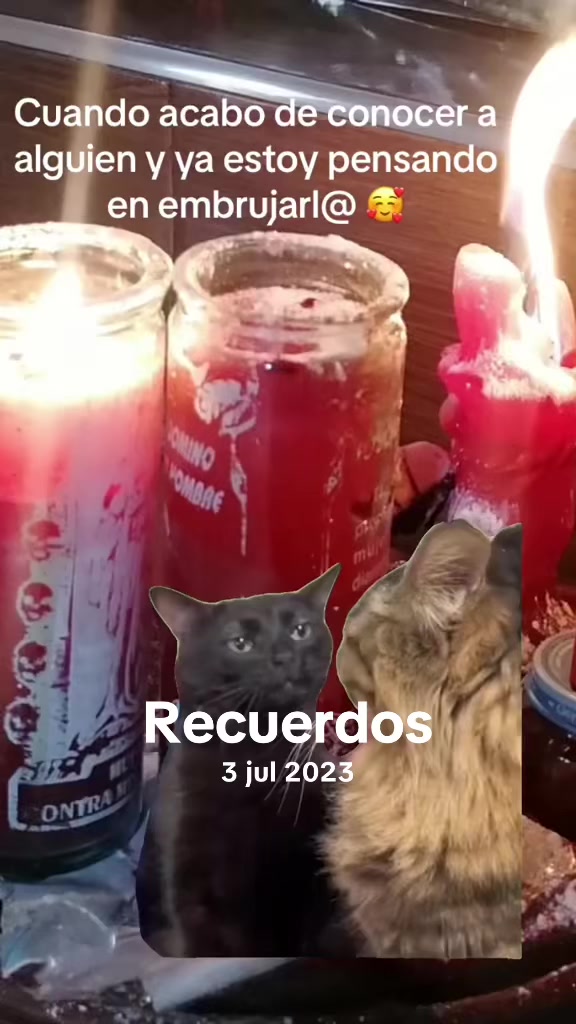 @❣️TAROT SANTITA MUERTE ❣️