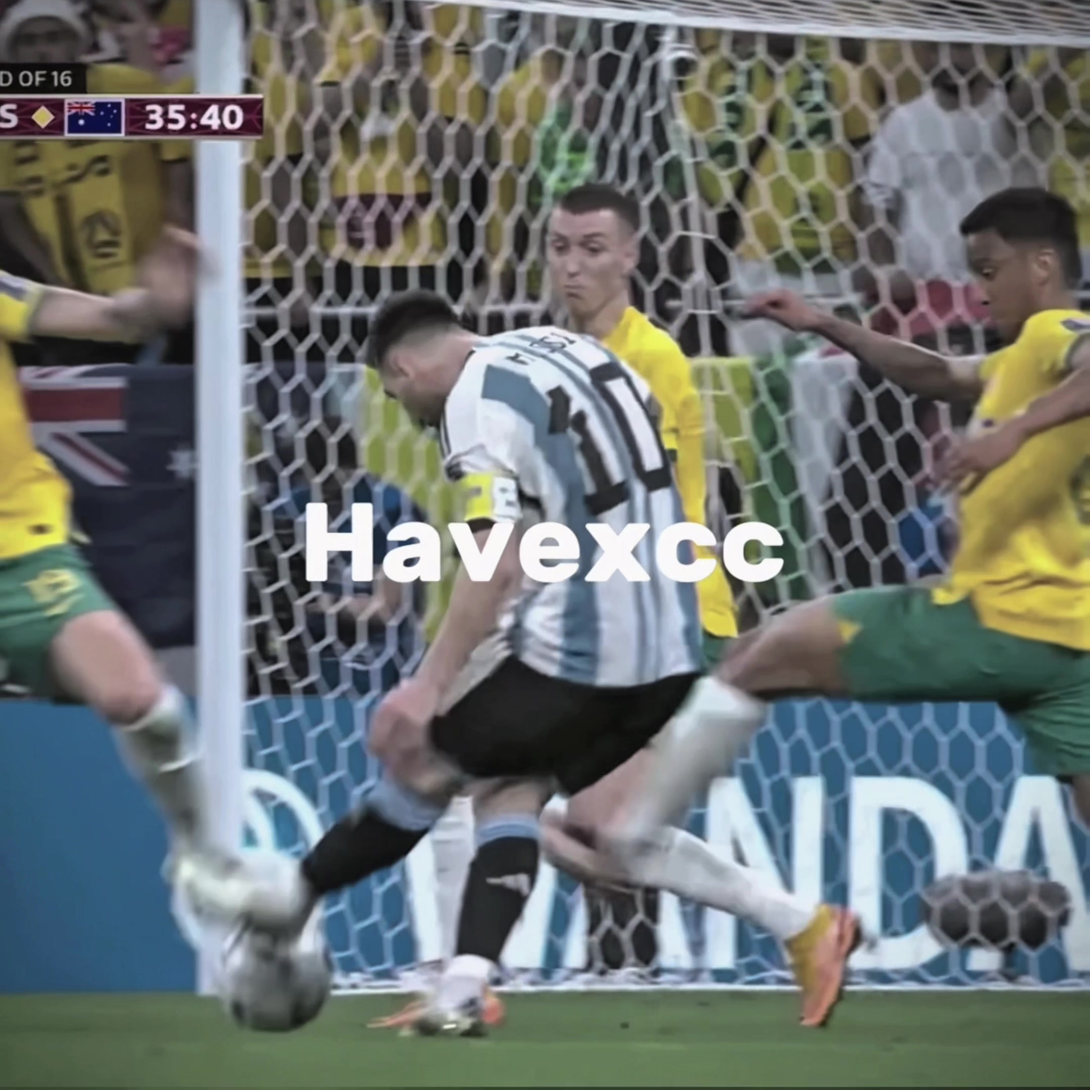 @Havexcc
