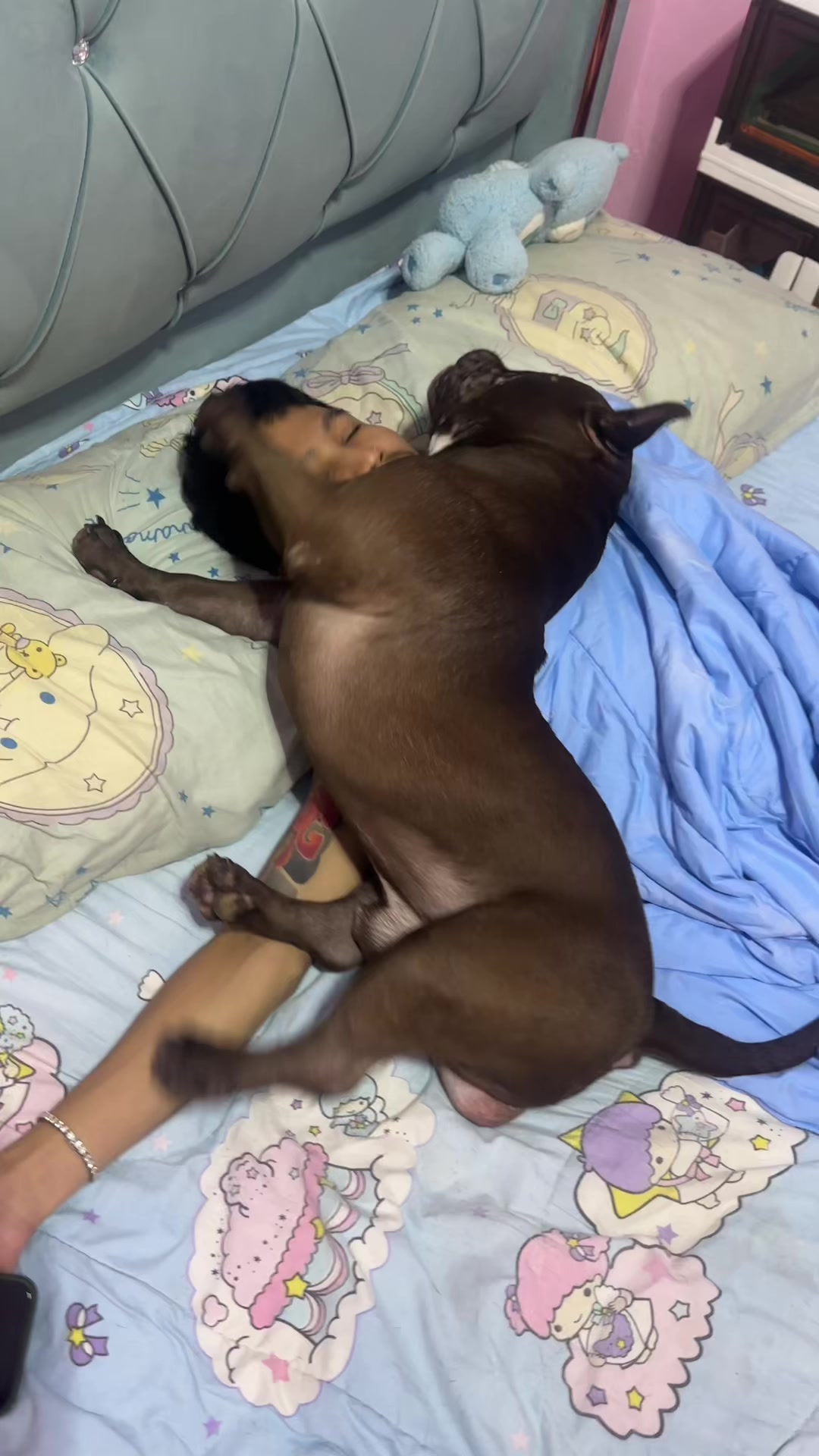 @Natacha 🐰🇹🇭