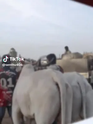 @Kiruba Kiruba