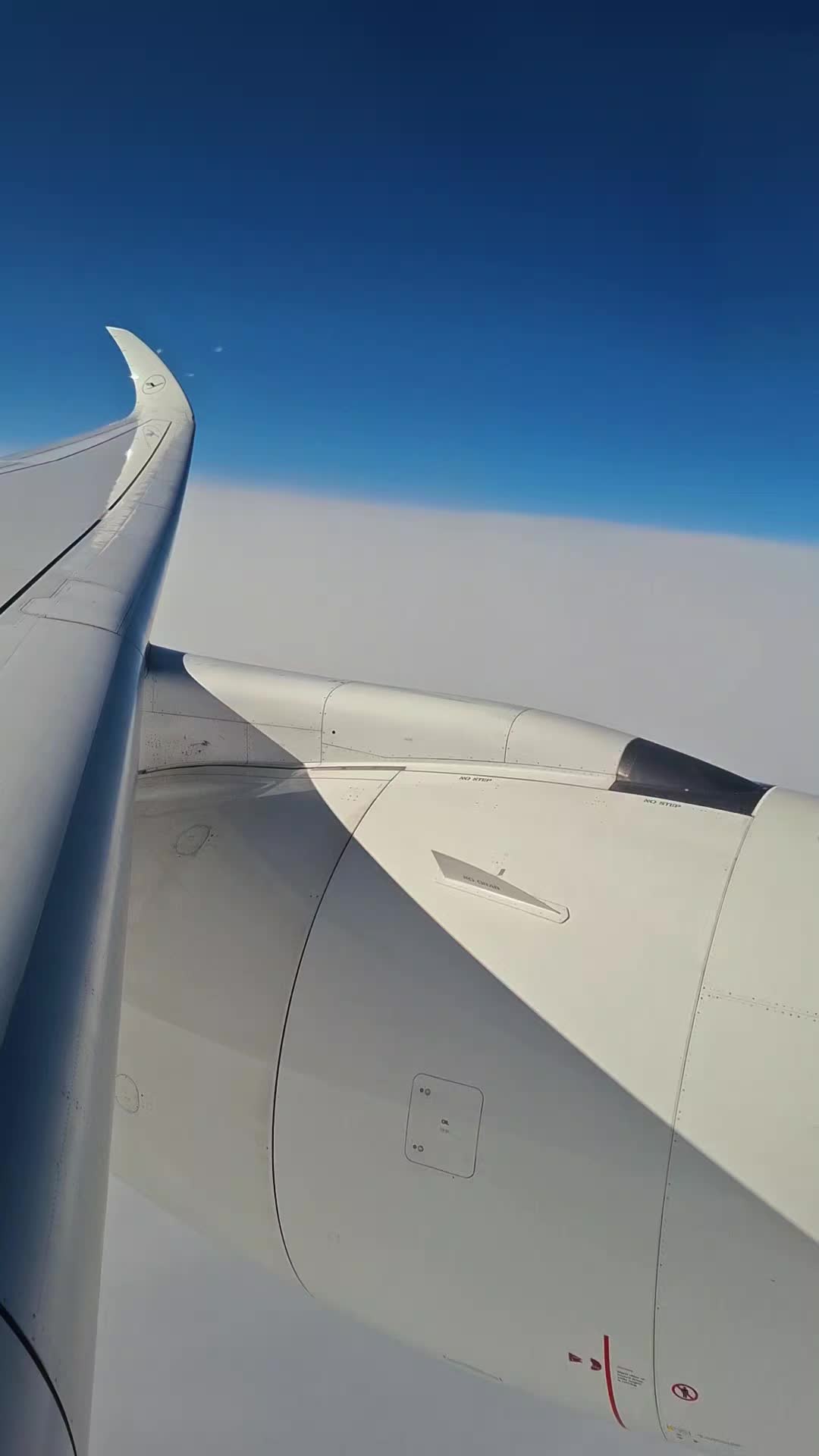 @✈︎ = ♡