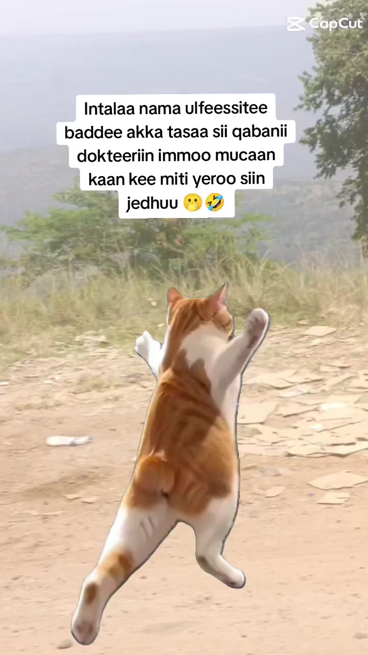 @miliyon Girma