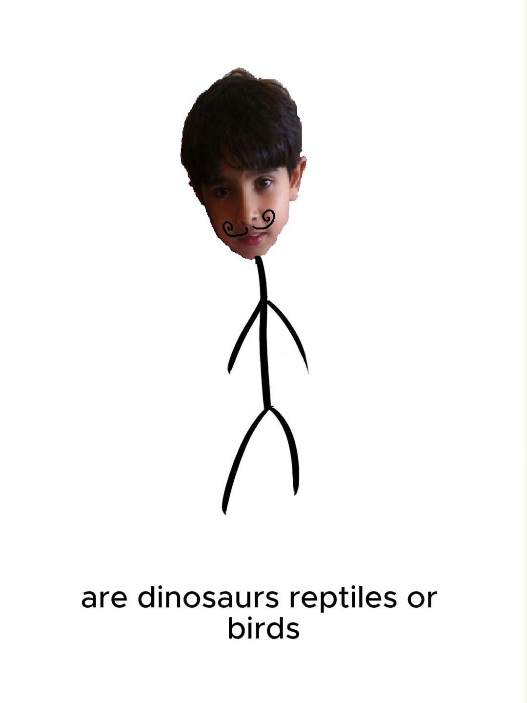@spacinhoo