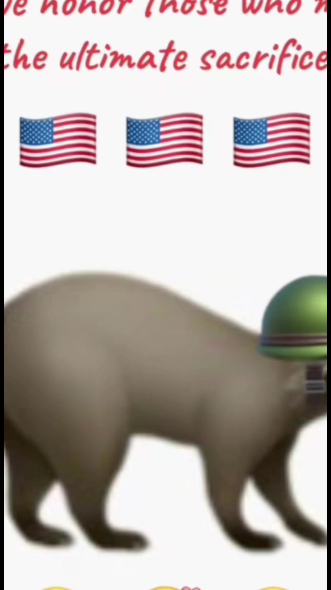 @LoneWolfKritterKam