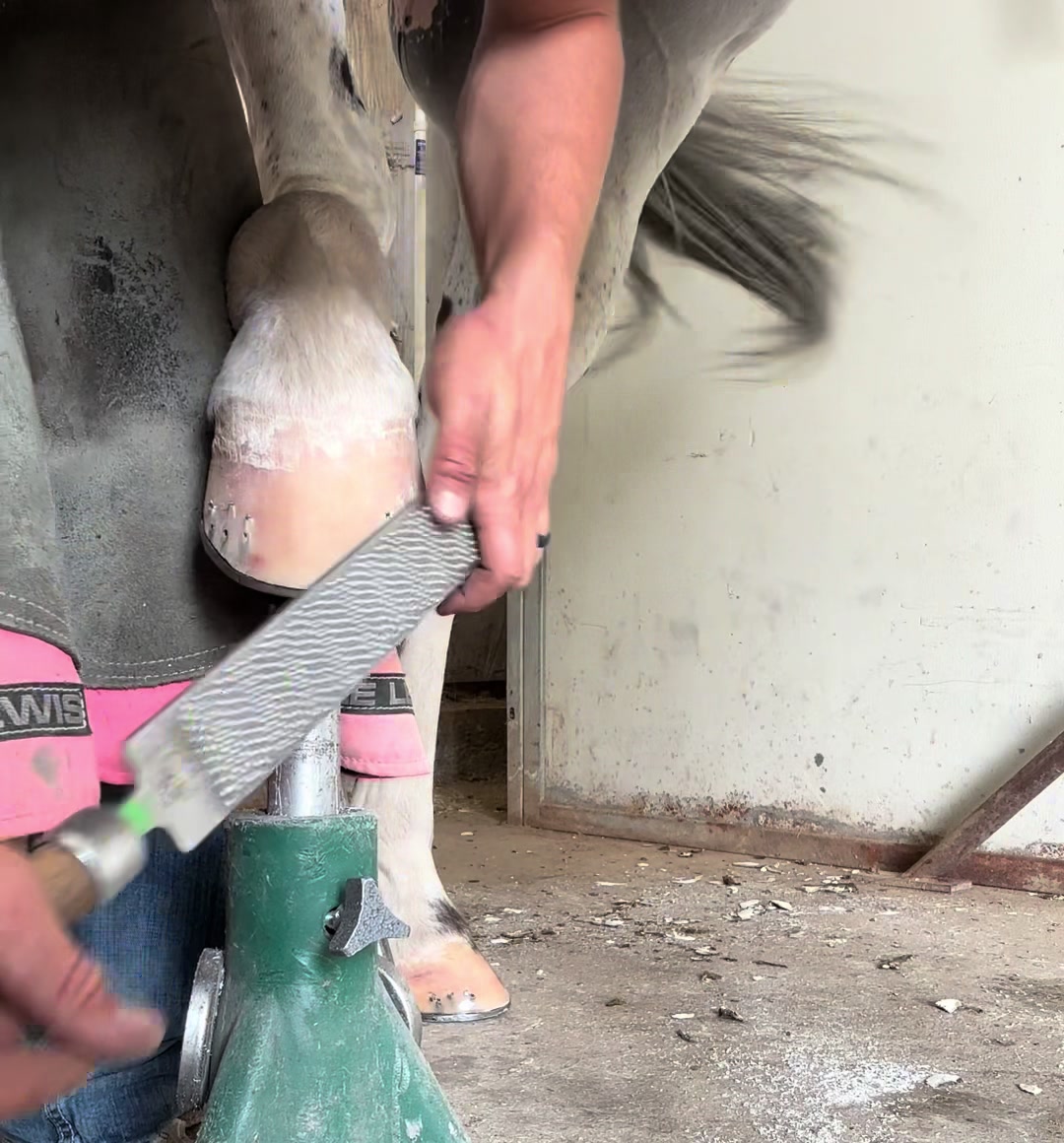 @bar_diamond_farrier