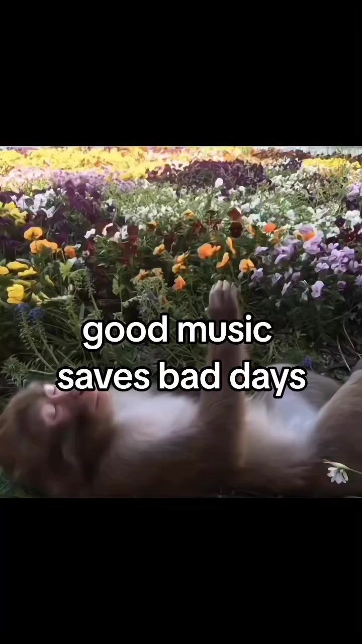 @Klein