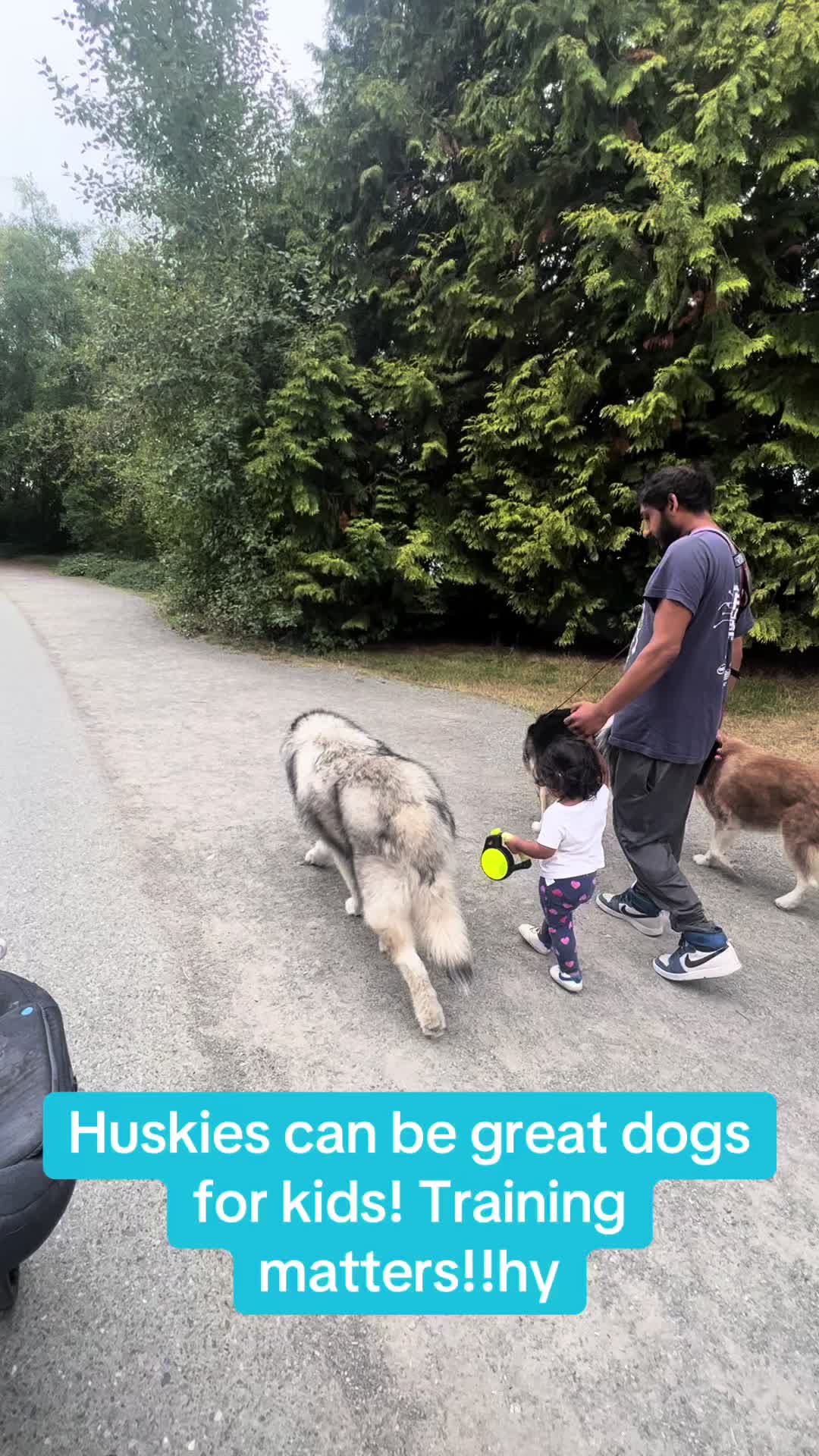 @wolfieworkingdogs