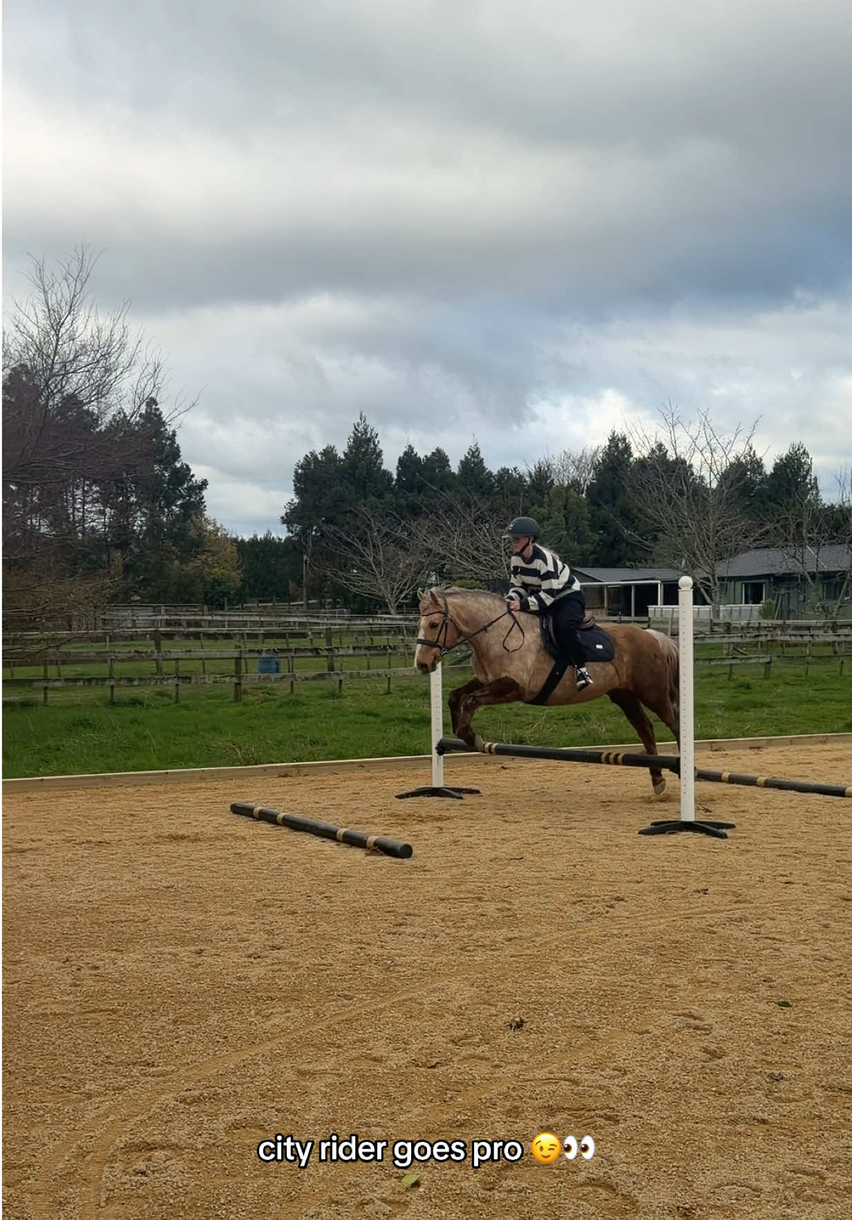 @Savanah_equestrian