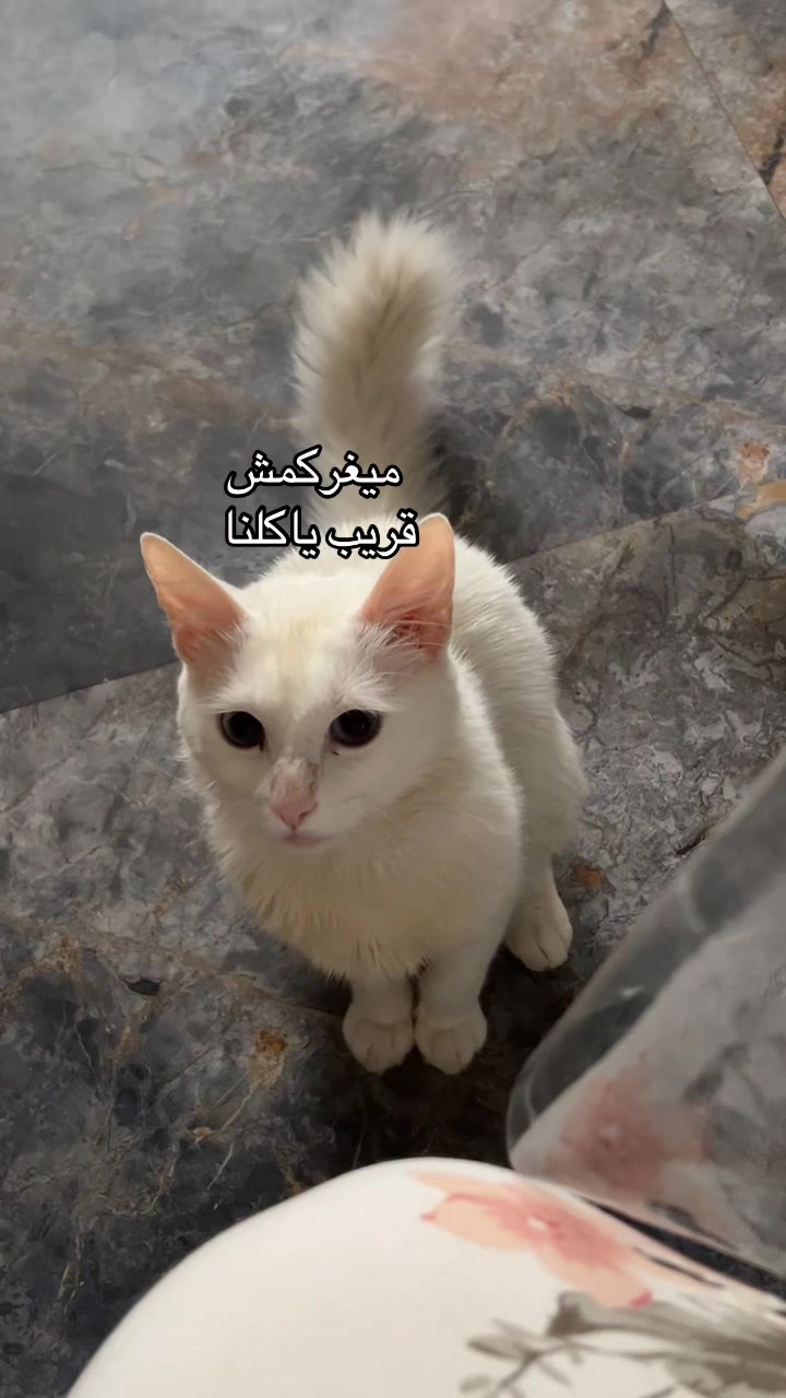 @mood_20.07