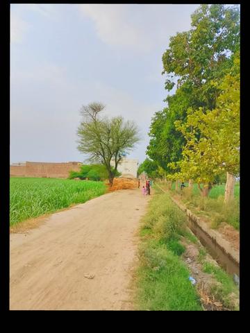 @🎖️ADEELKING🎋