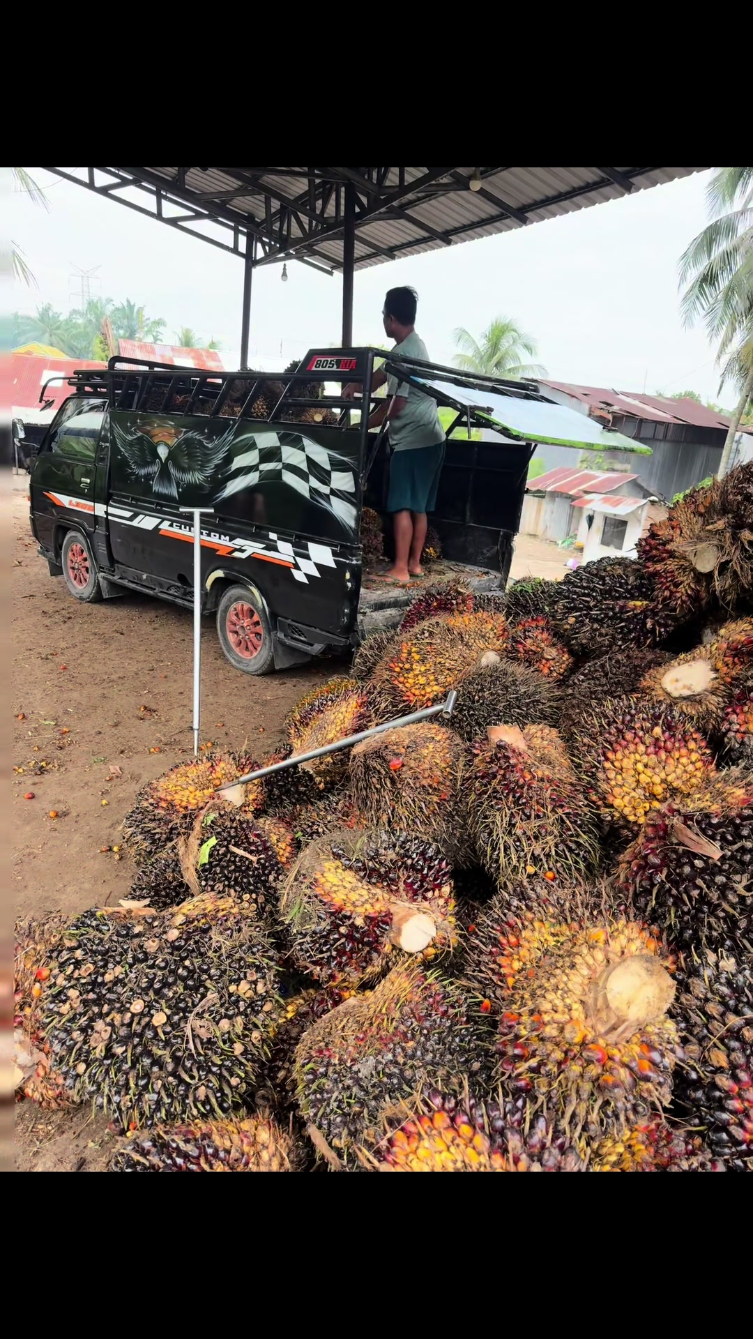 @Petarung Medan🕷️⚡️