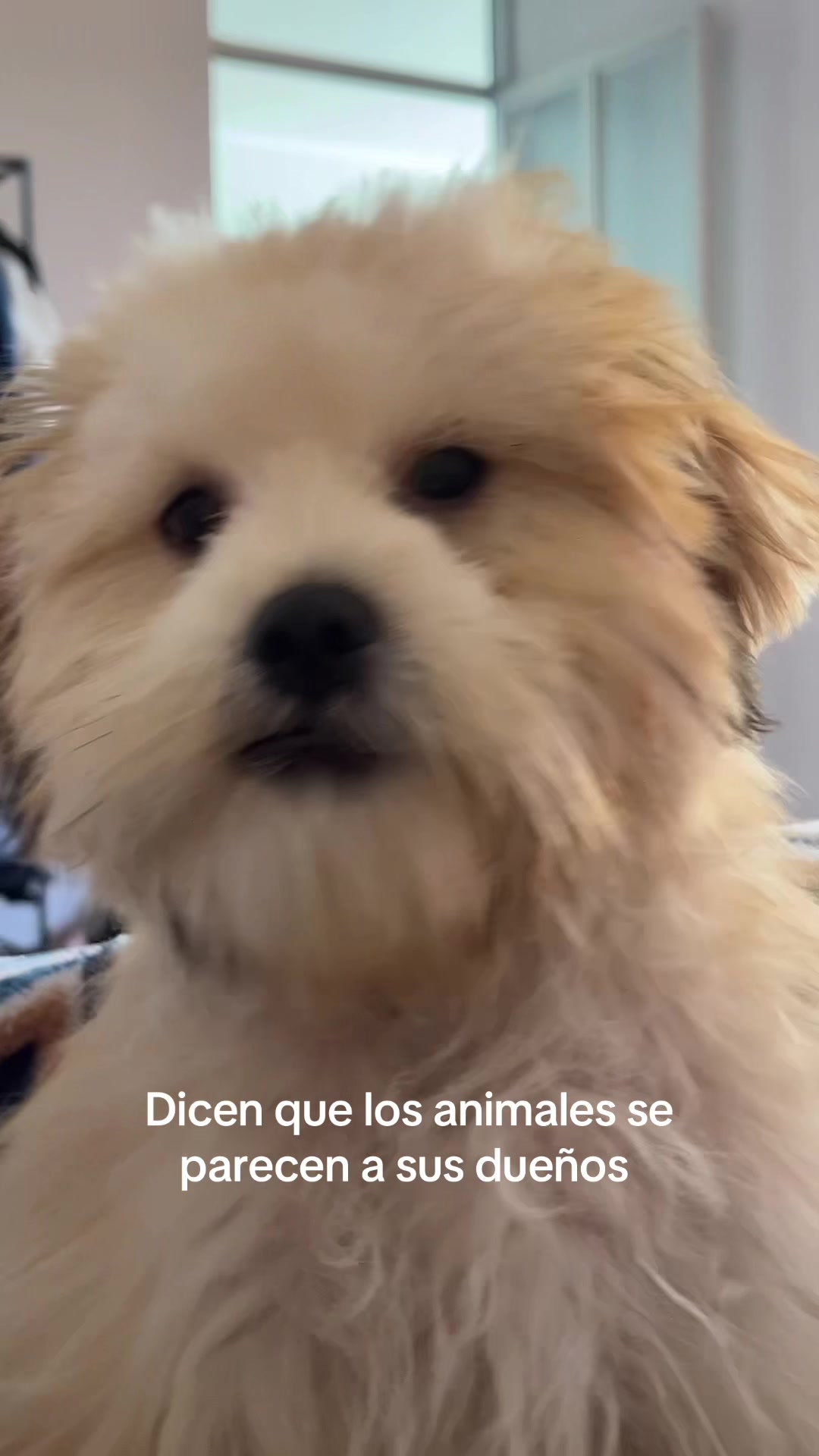 @ivi.