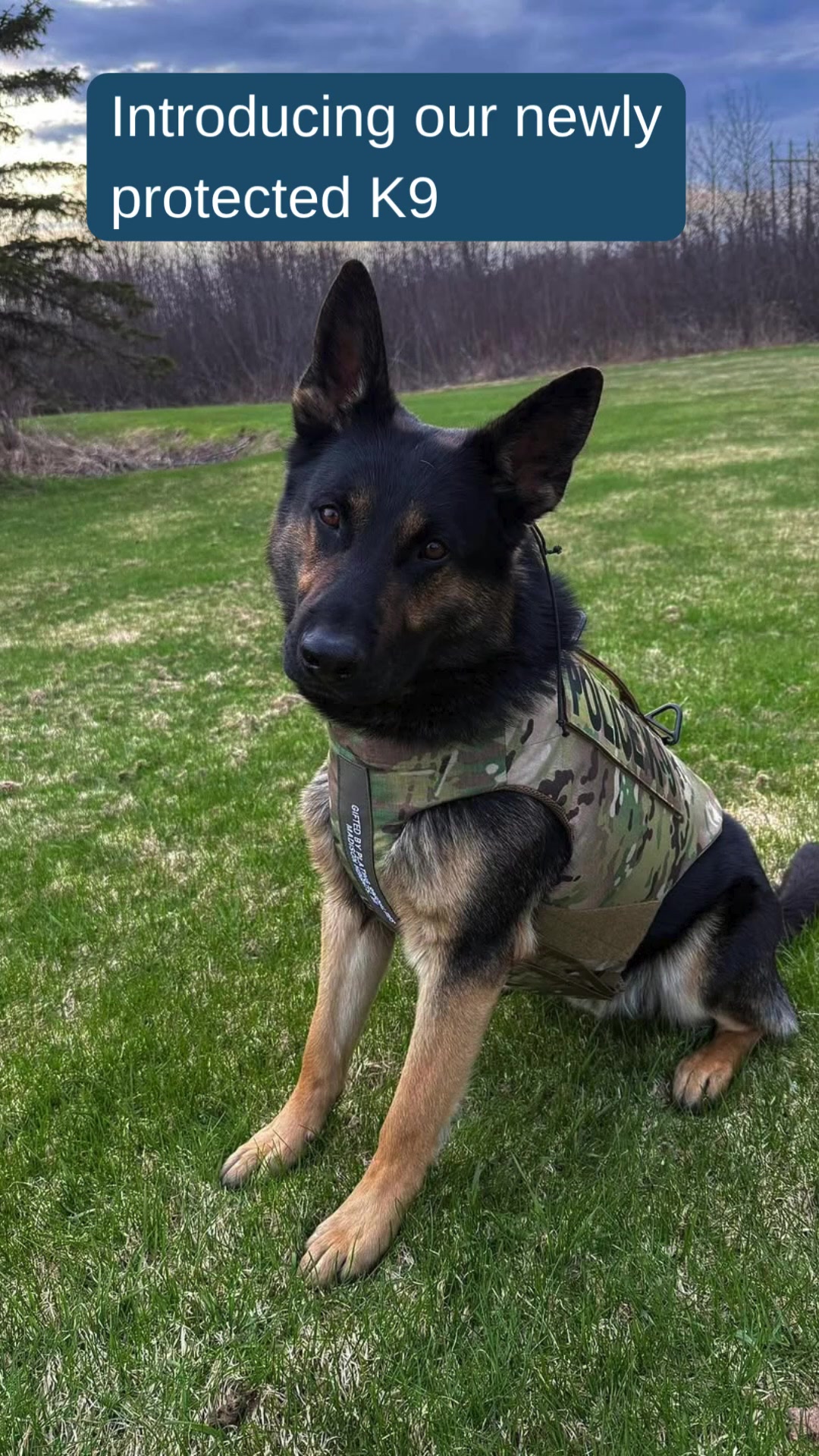@Vested Interest in K9s, Inc.