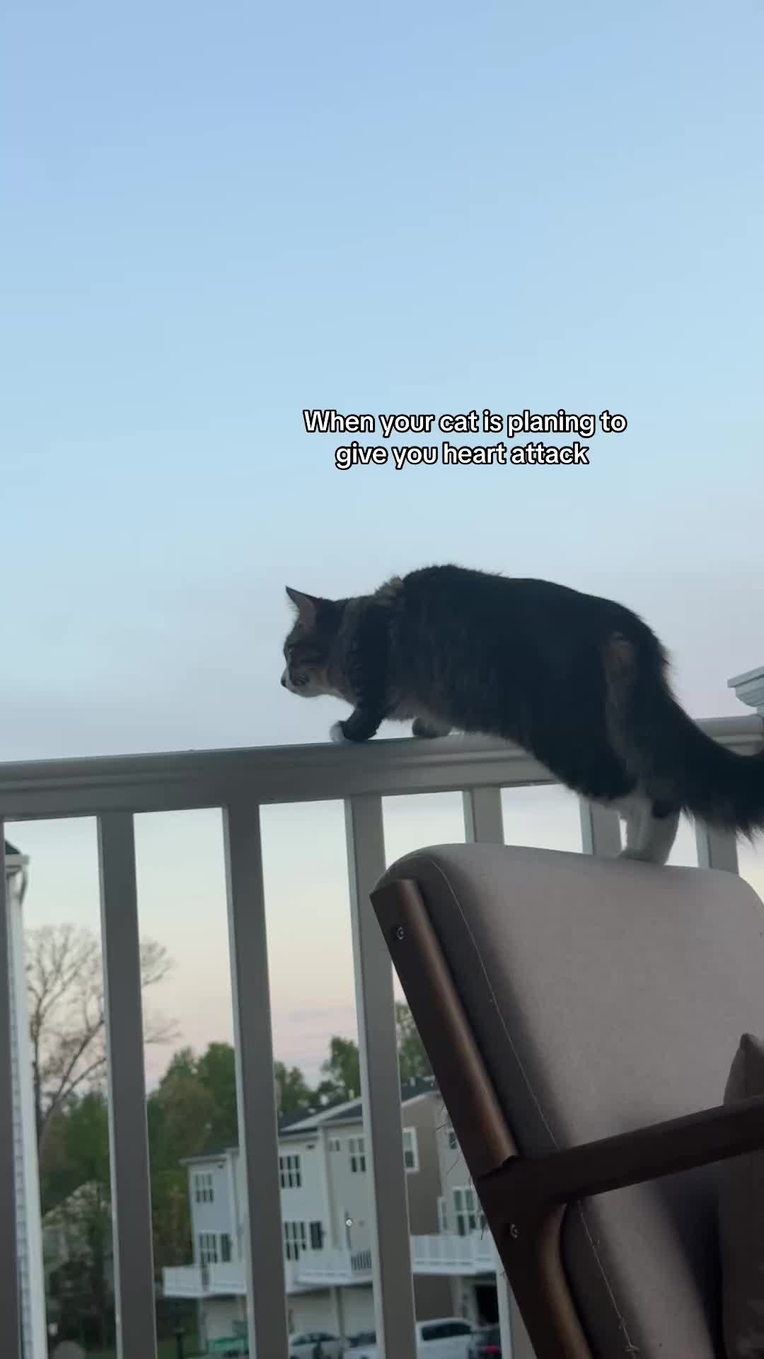 @Sushiii