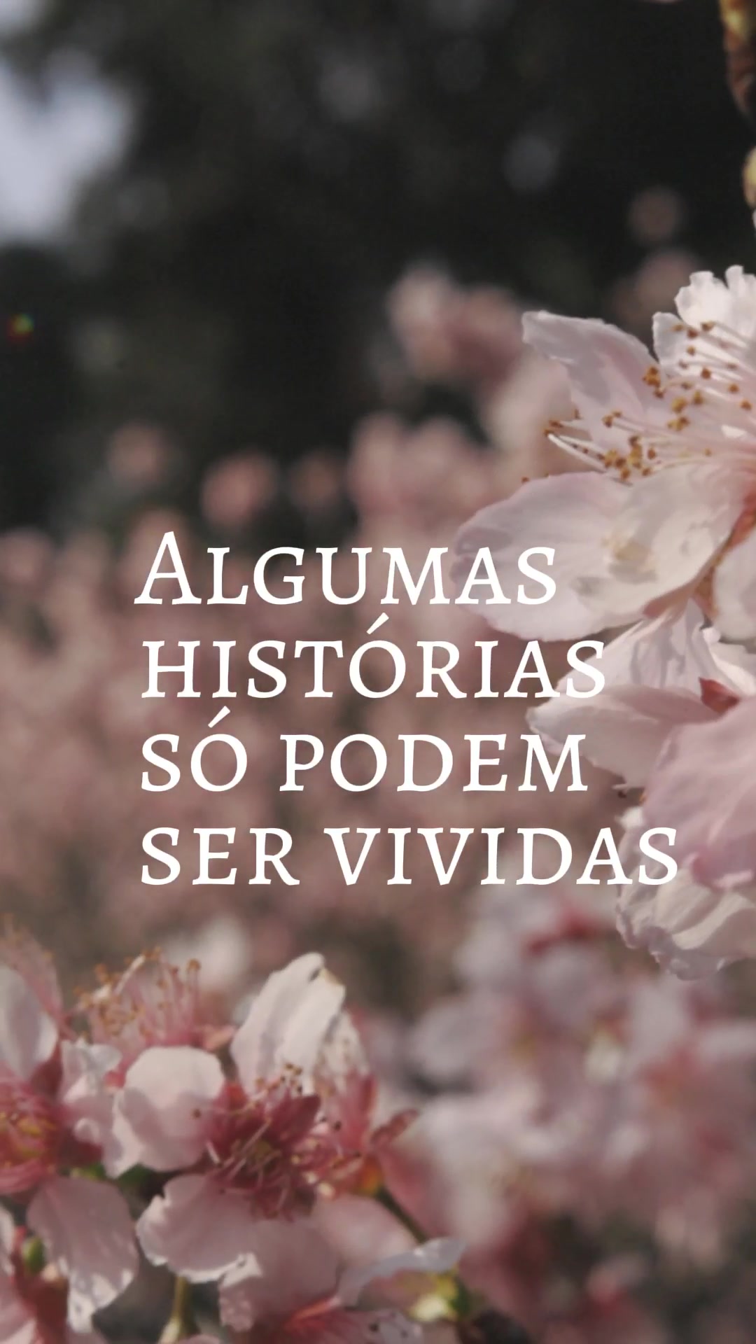@Desiree Baptista
