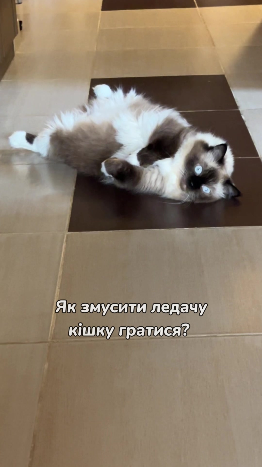 @Місс КІСЯ