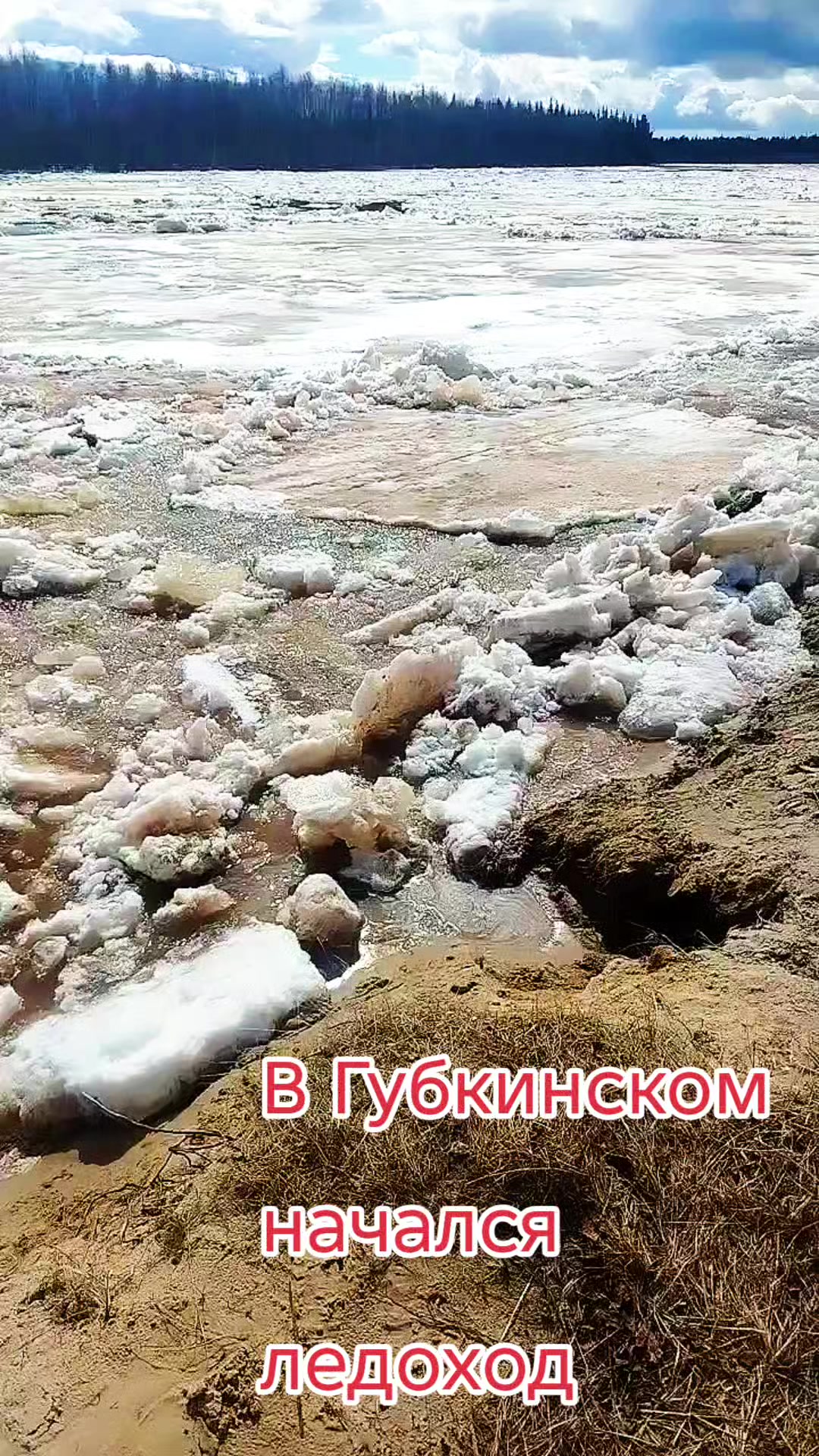 @Елена
