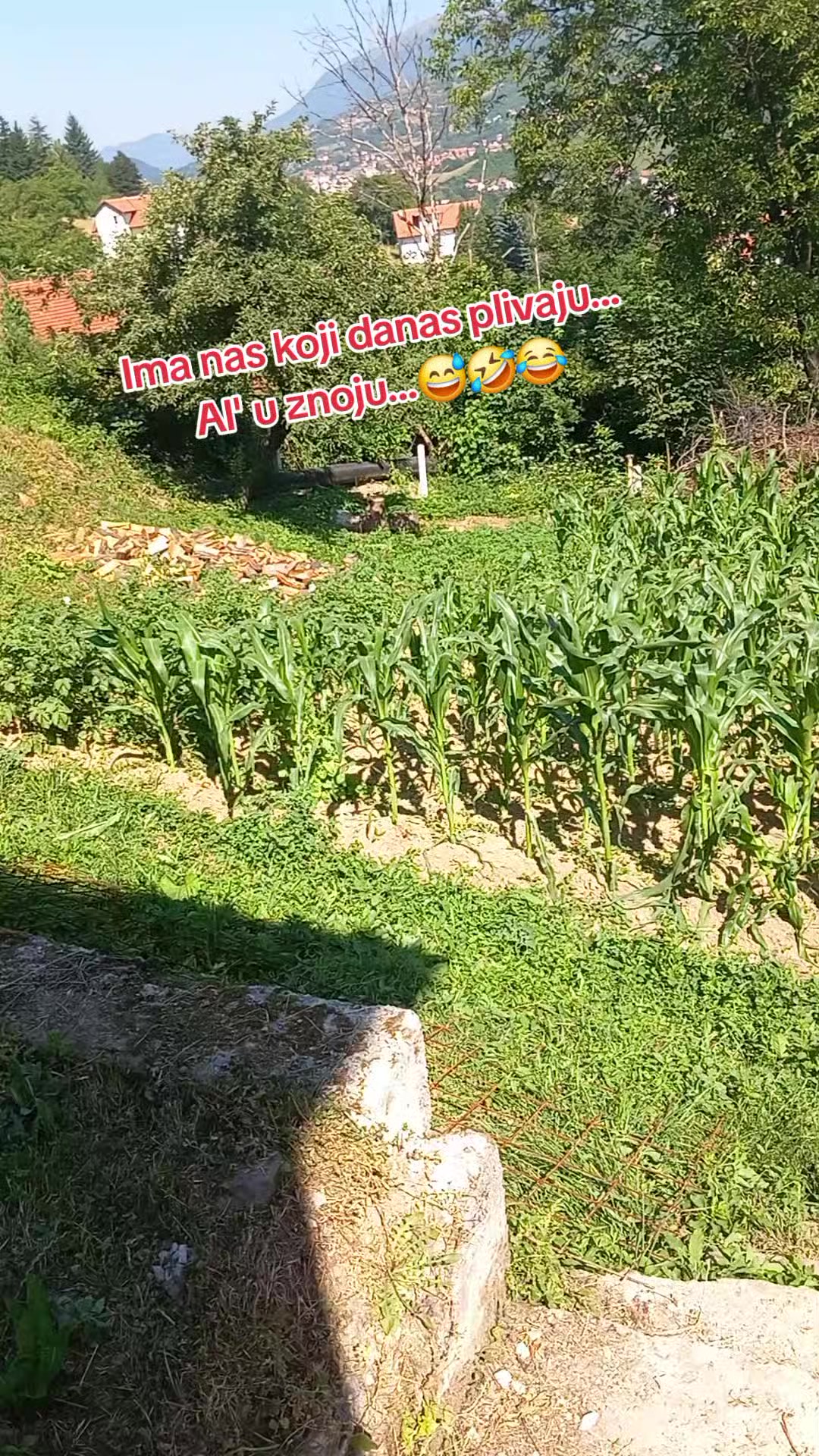 @Enver