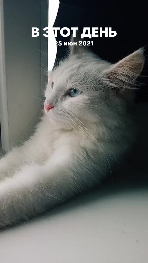 @💗🐰Ласка🐰💗