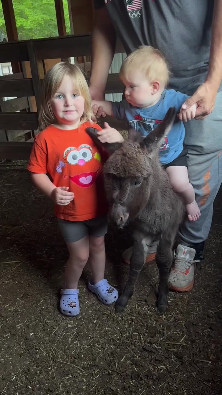 @TennesseeTedMiniFarm