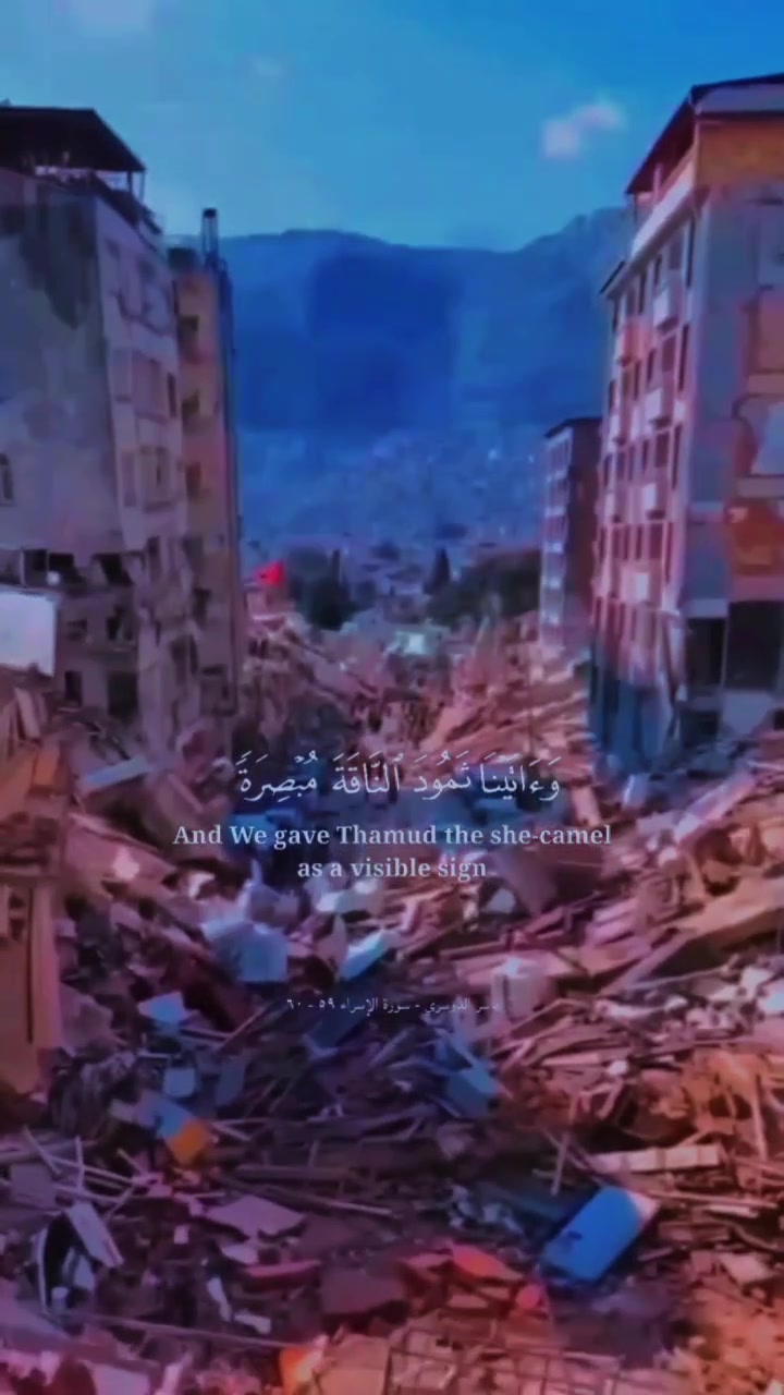 @المستشار سعد عرفه