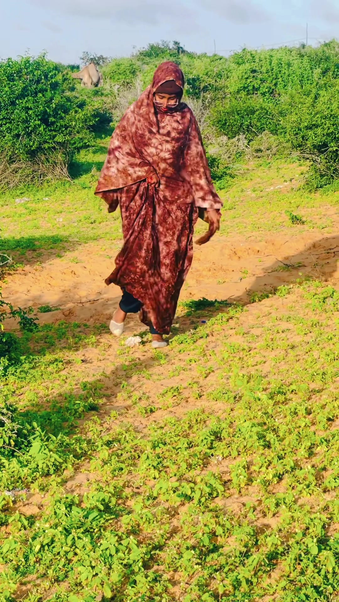 @yarta Shanta soomaliyed🇸🇴