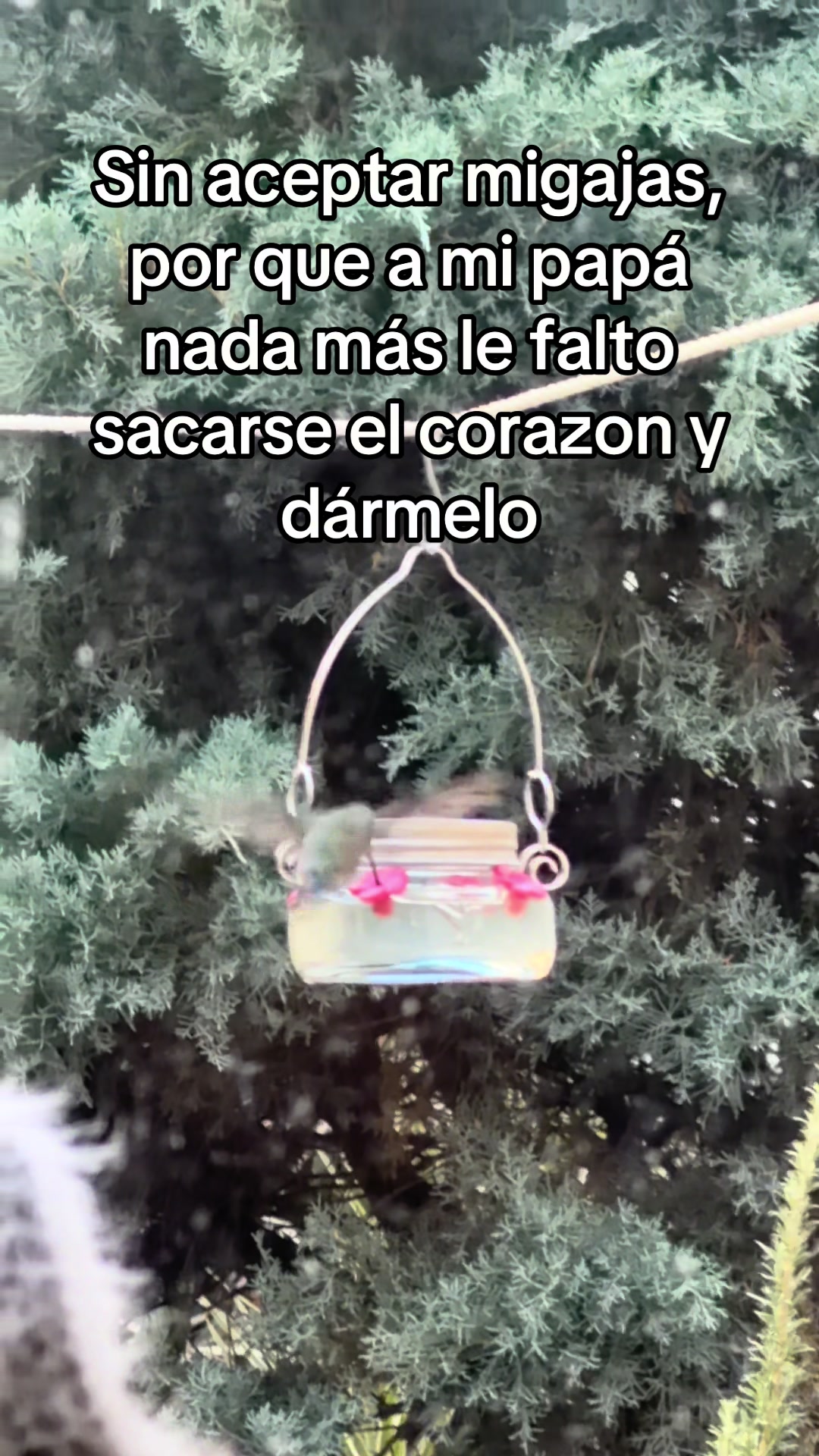 @Pao Farias
