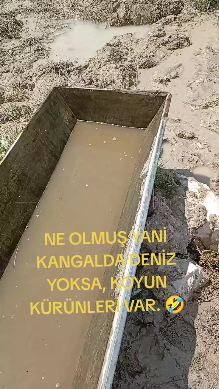 @HAYAL KEŞ