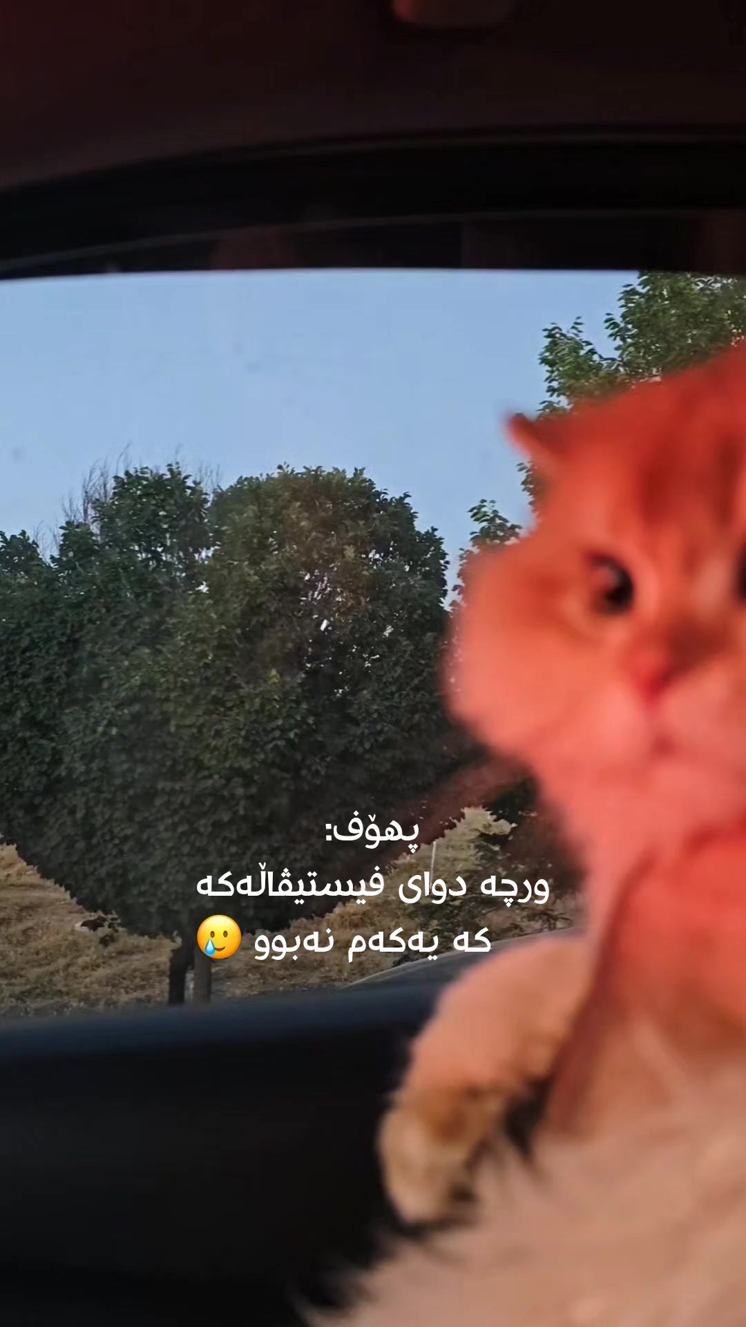@سێ پشیلەکە🐾