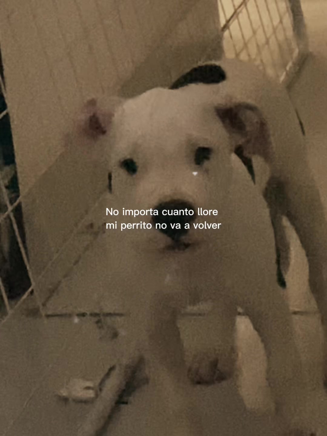 @Karen Espinoza 🐆