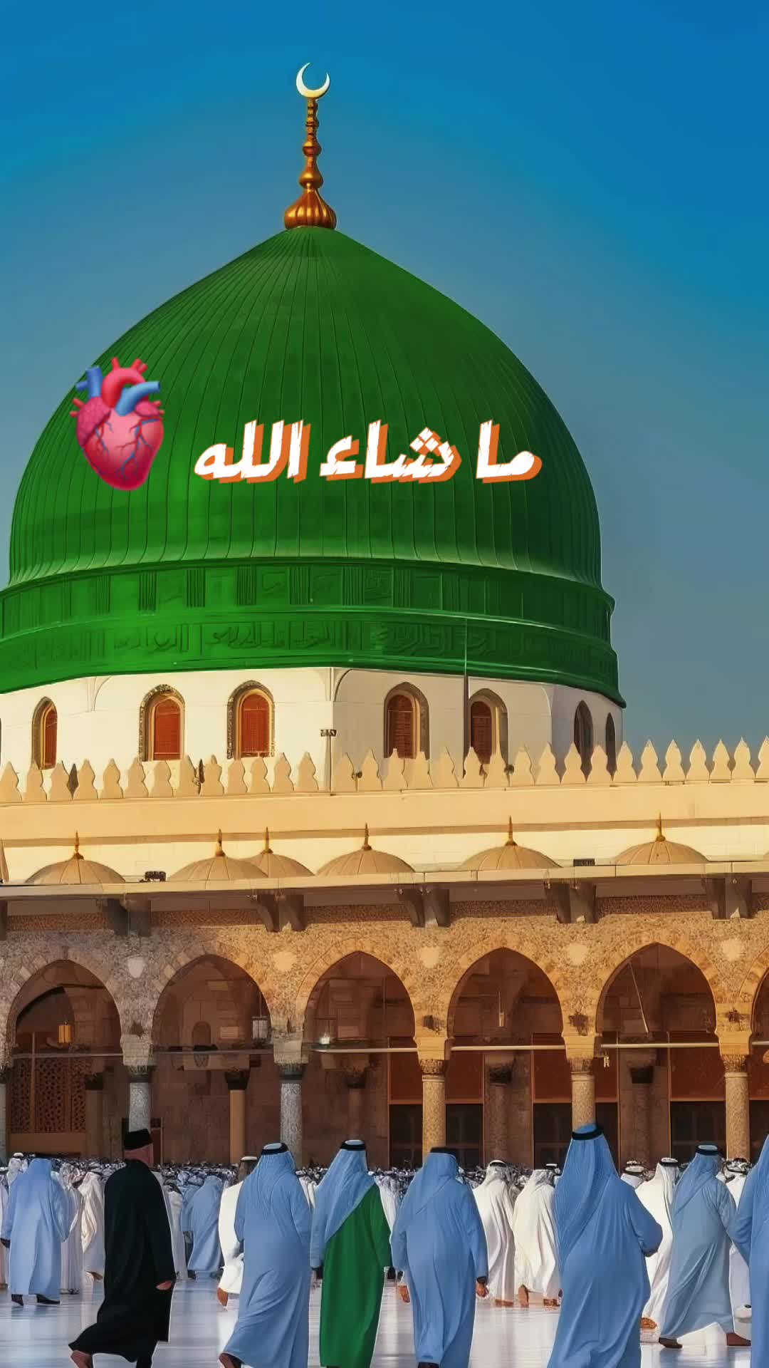 @MR~Islamic~contact✅🕋🕌❣️