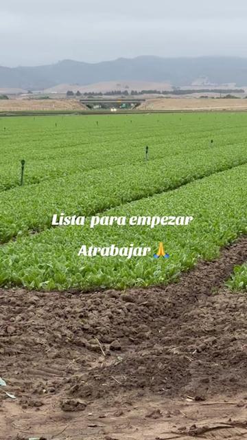 @Chela A367
