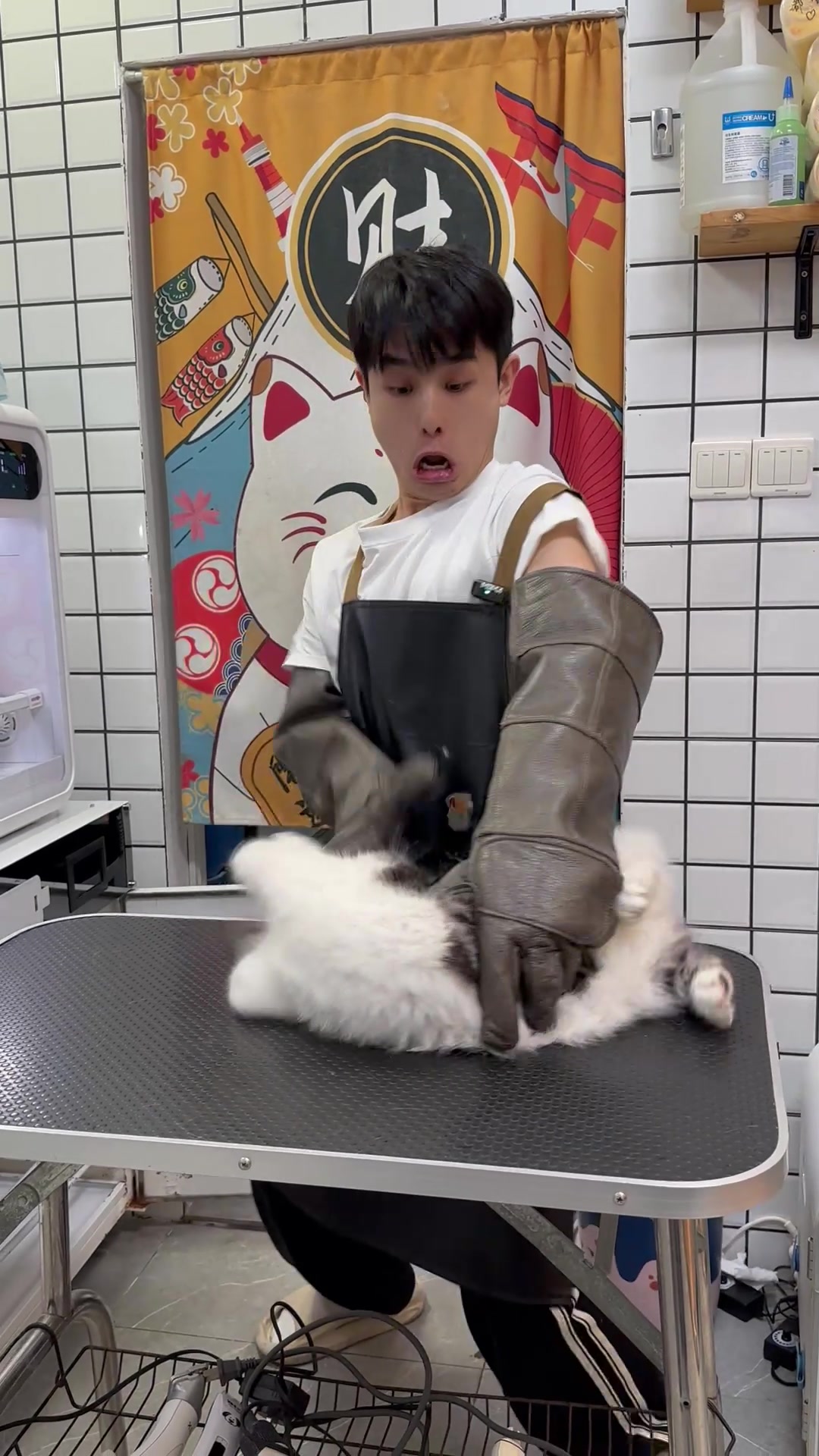 @washing.cats