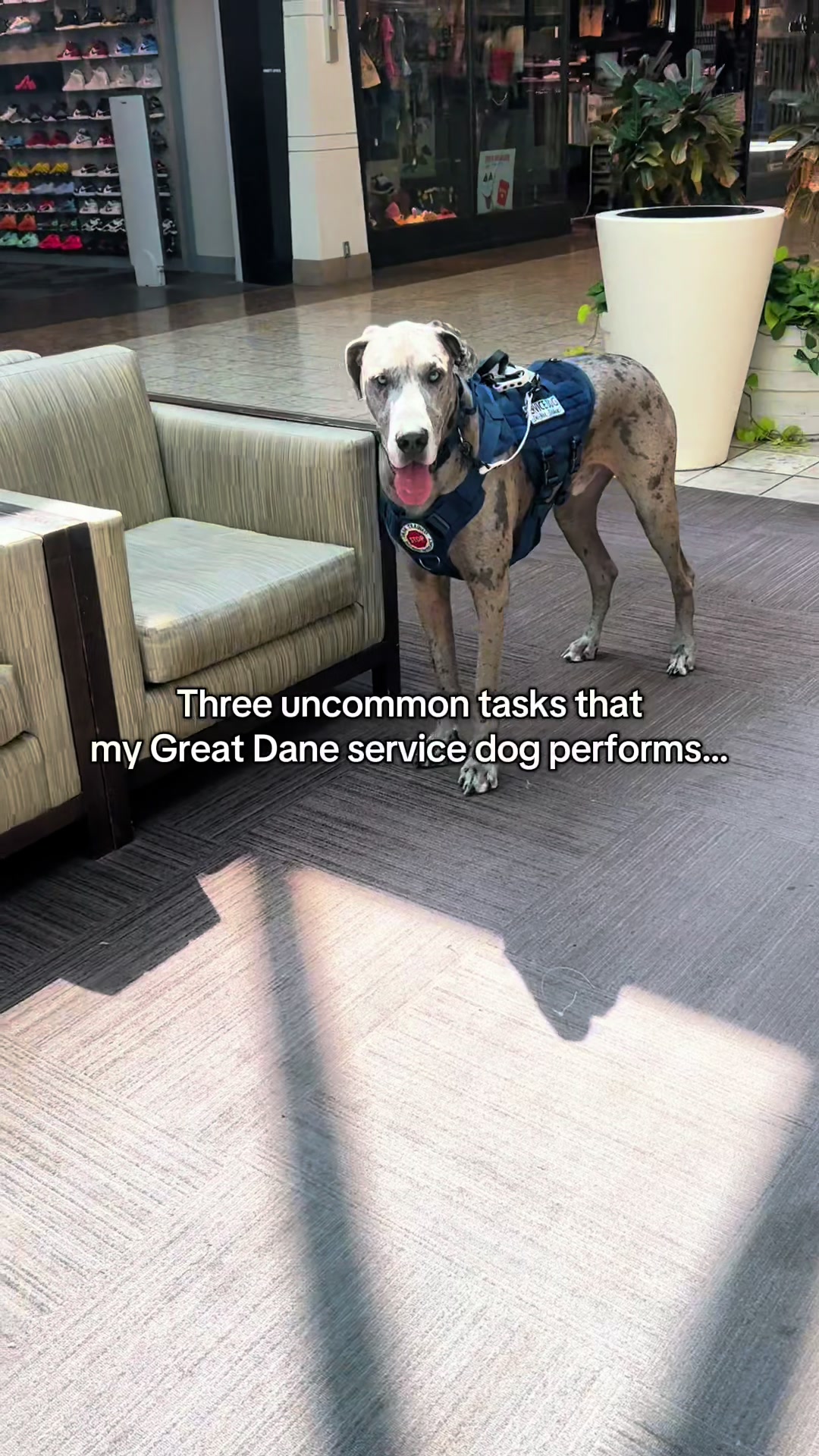 @lex 🐺⛓️