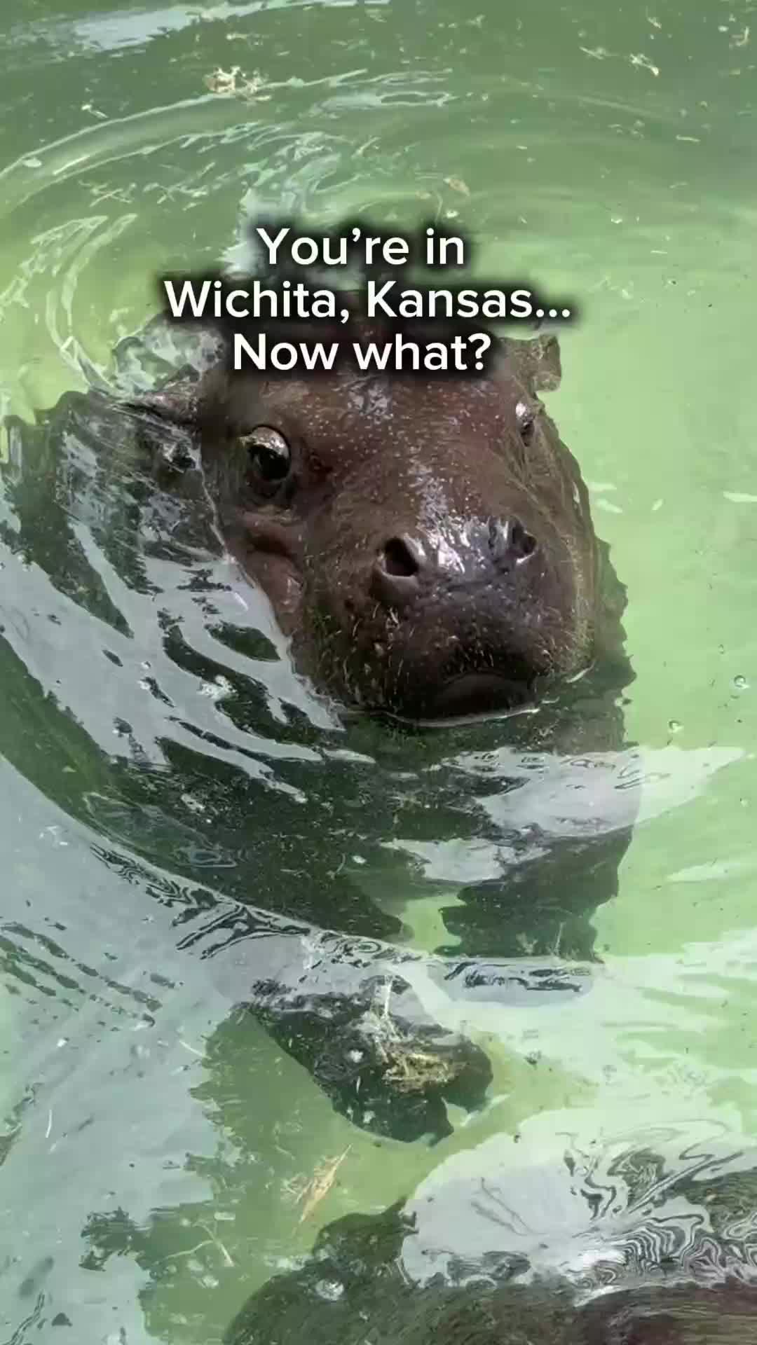 @TanganyikaWildlifePark