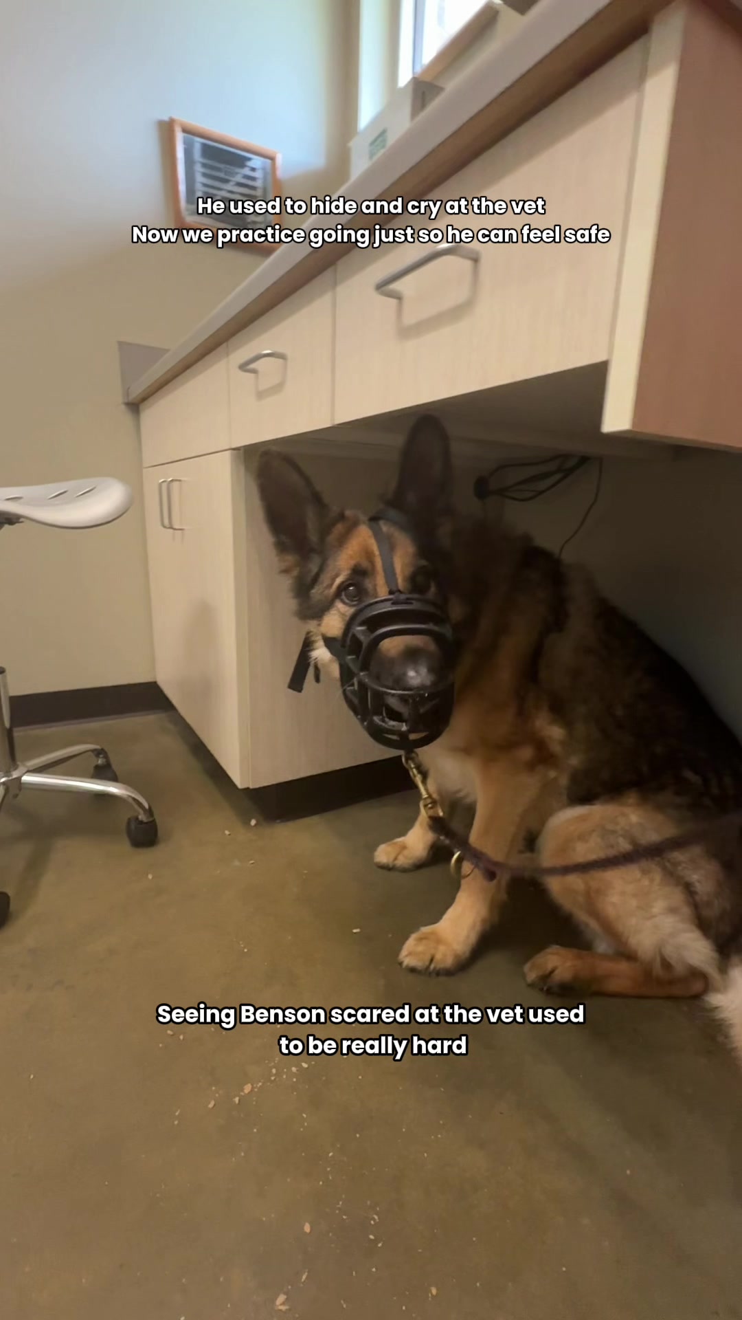 @Best Boy Benson