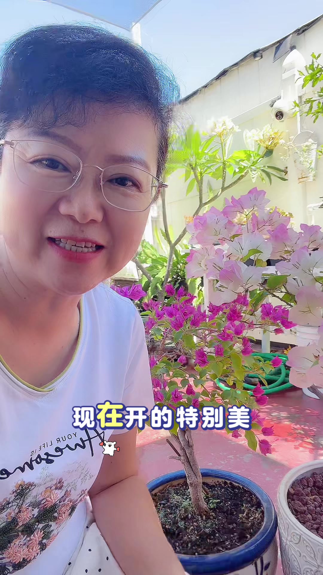 @琳达在美国