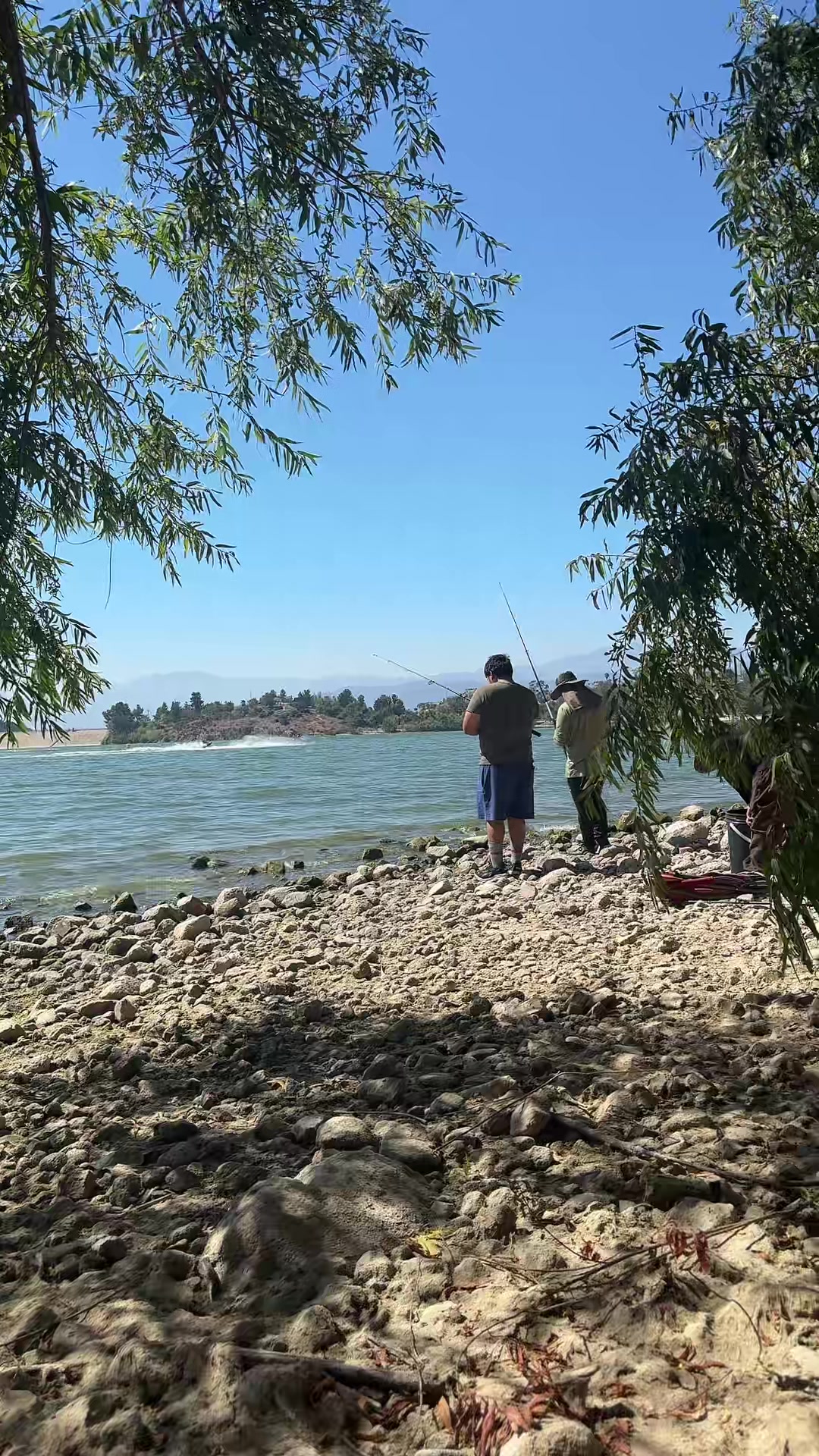 @Margarita R