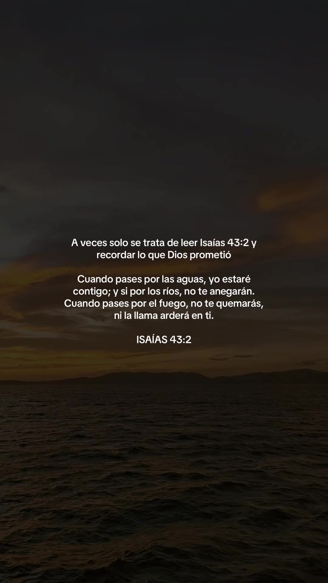 @vidabonita❤️🩹