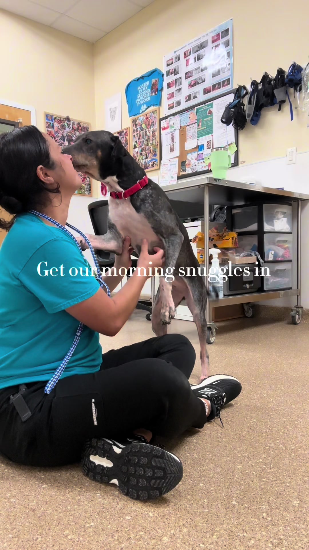 @2vettechs