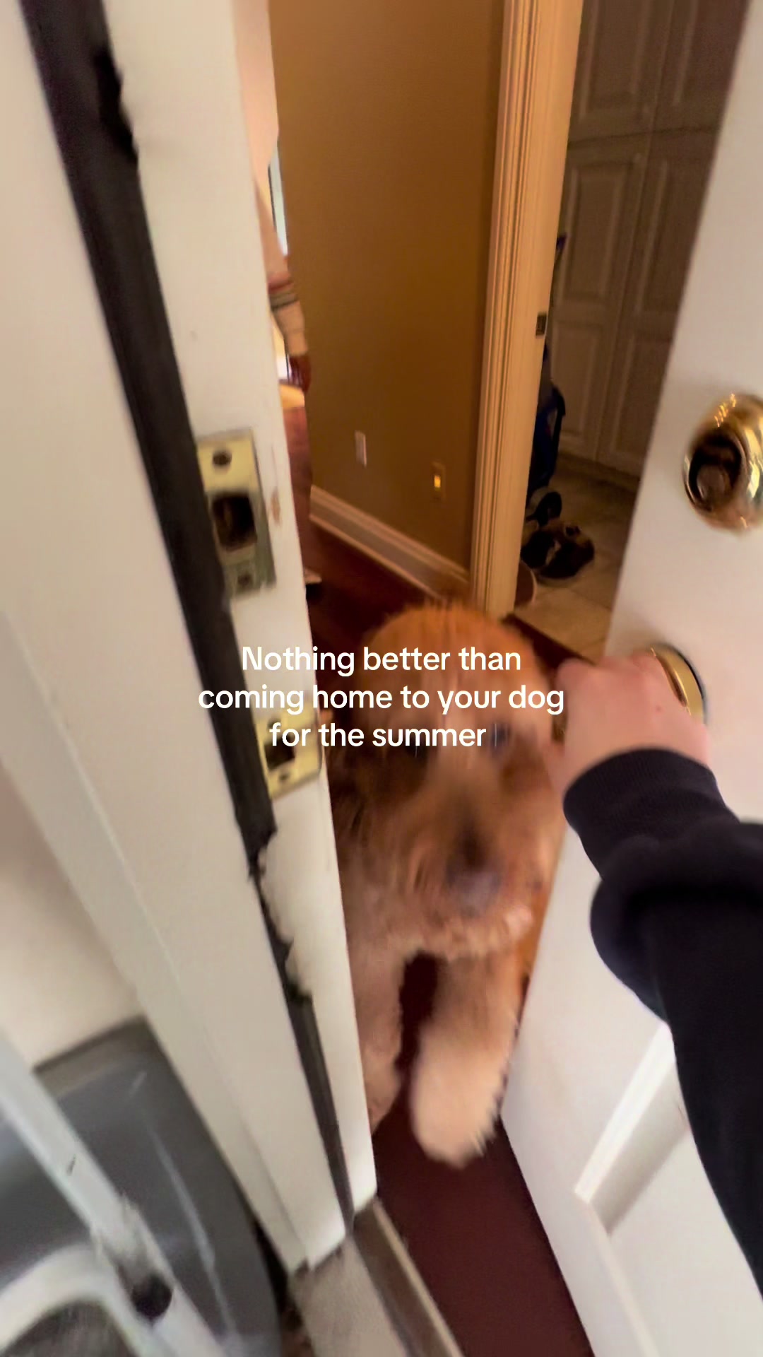 @lily bella