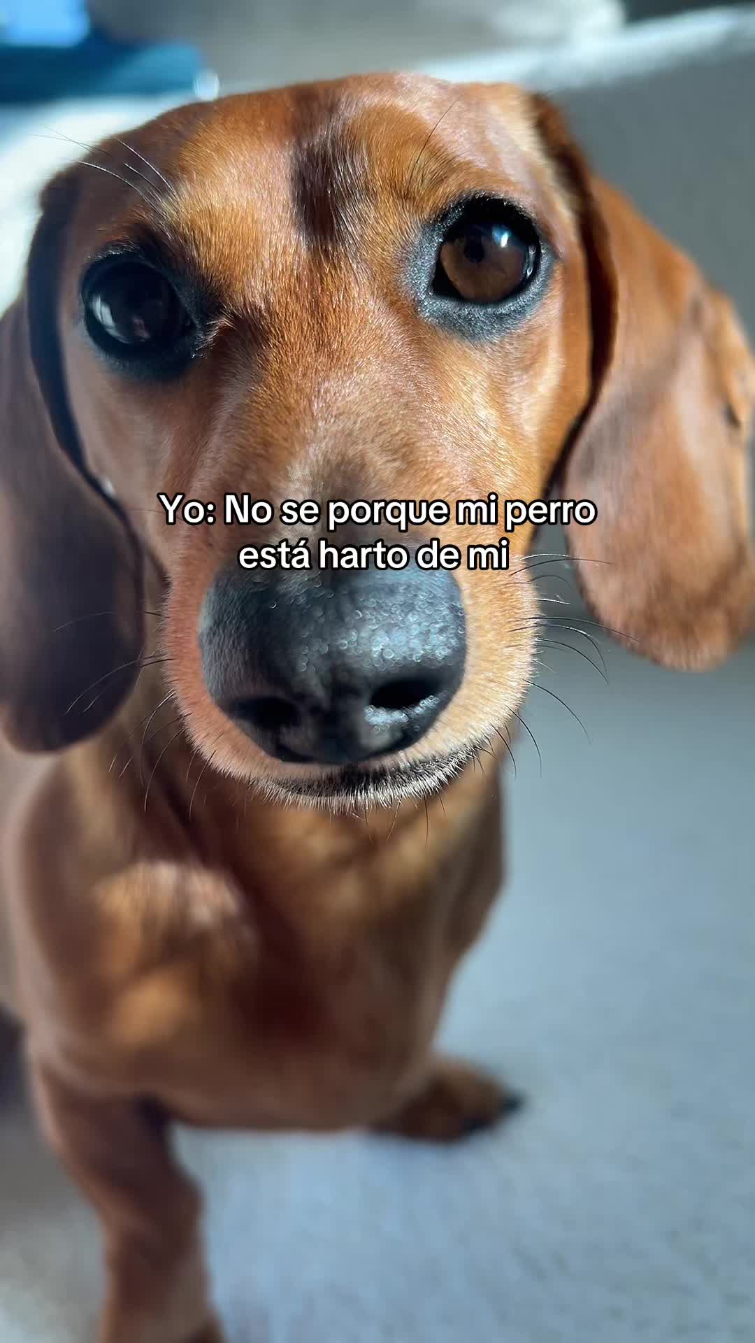 @Slinky Severus-Doo