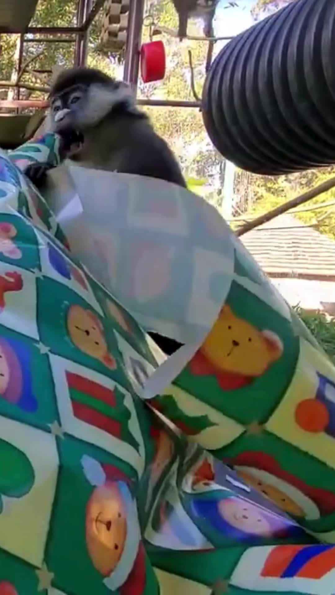 @Oakland Zoo