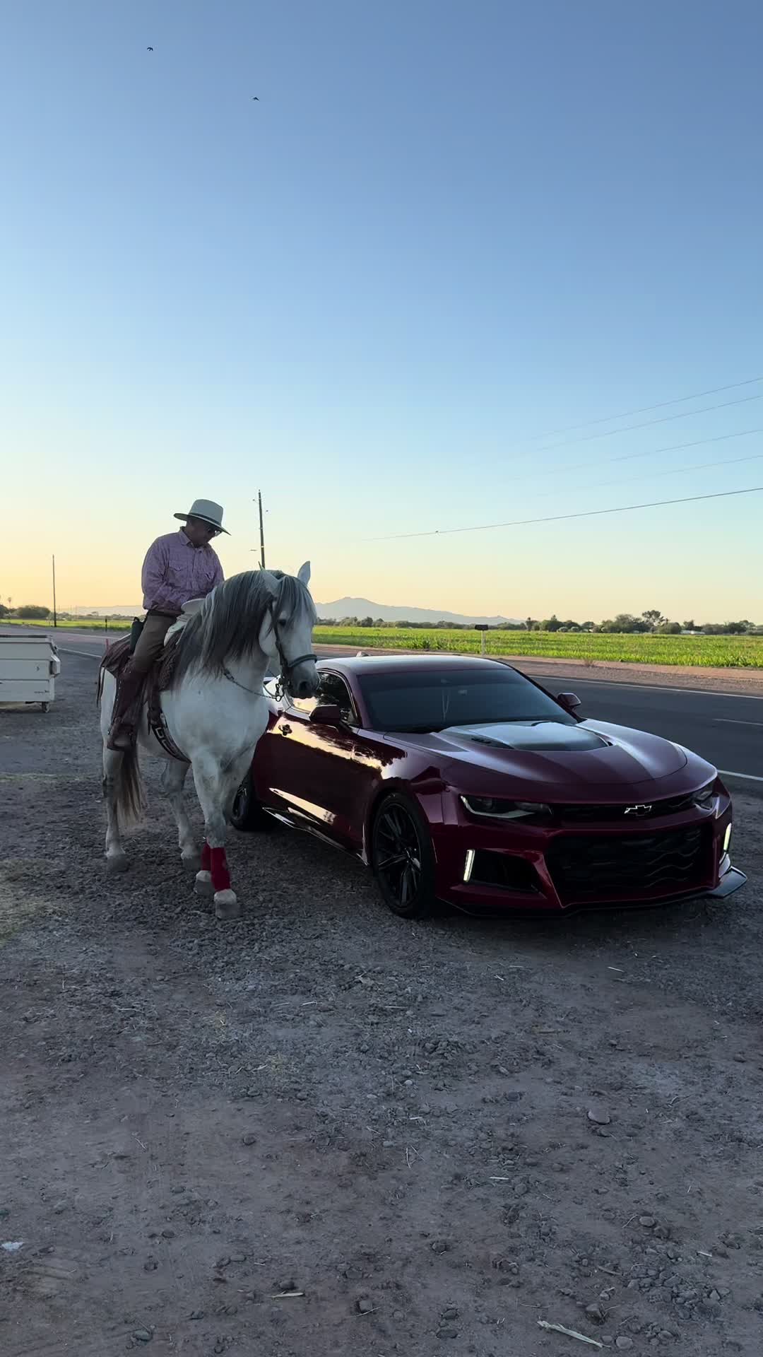 @reza.zl1