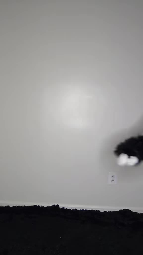 @Queer el gato🏳️🌈