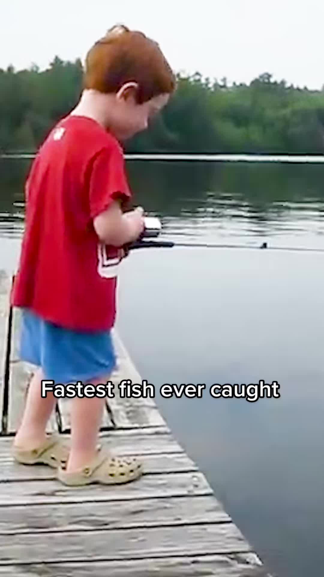 @Lunkerville